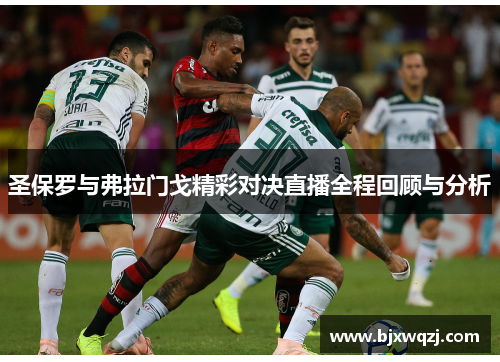 圣保罗与弗拉门戈精彩对决直播全程回顾与分析